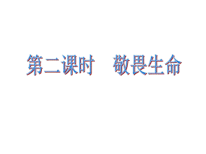 河北省赞皇县第二中学七年级道德与法制上册课件8.2敬畏生命