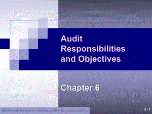 Chapter06AuditResponsibilitiesandObjectives(审