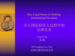 引入国际投资人过程中的法律实务概述