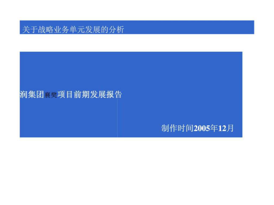 天润集团襄樊项目前期发展报告_第1页