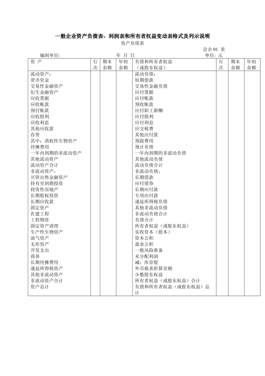 财务报表示例以及说明共9页_第1页