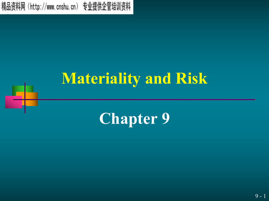 Materiality and Risk(英文版)(ppt 66页)_第1页