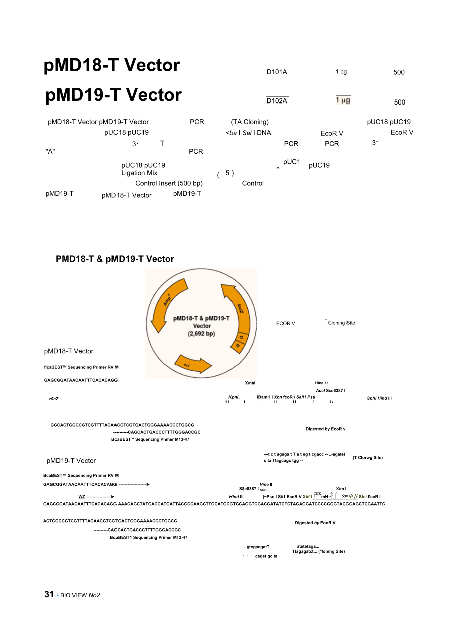 pMD1819T载体图谱_第1页