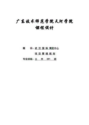 武汉国际博览中心项目管理规划