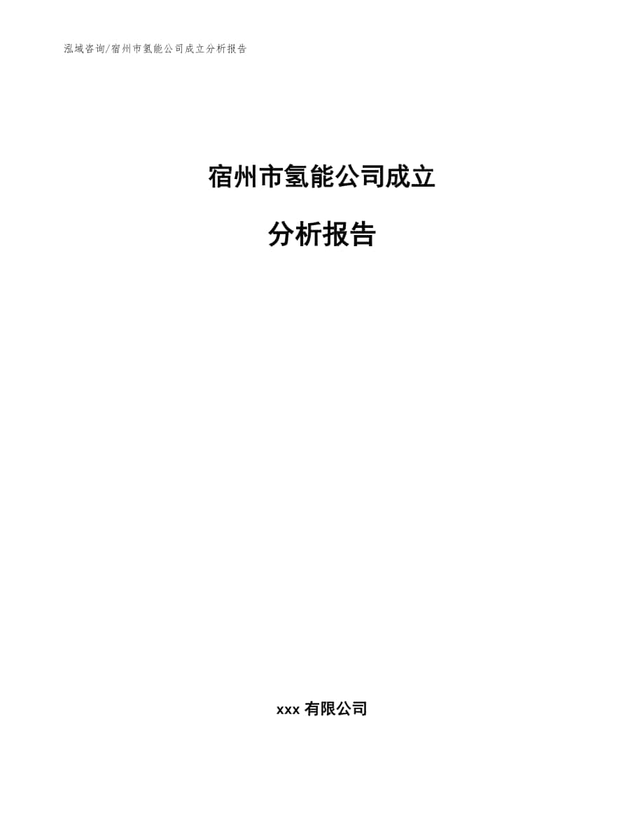 宿州市氢能公司成立分析报告模板范文_第1页