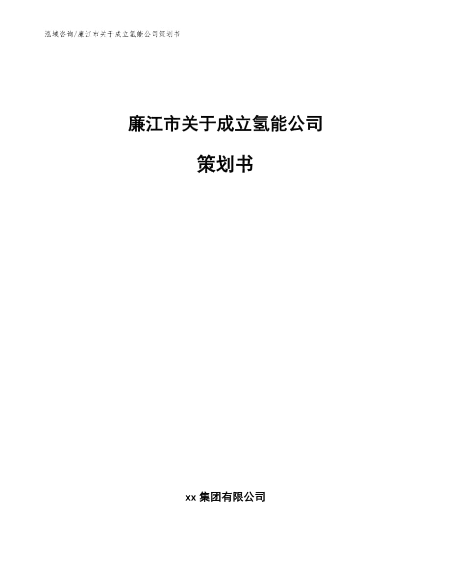 廉江市关于成立氢能公司策划书模板参考_第1页
