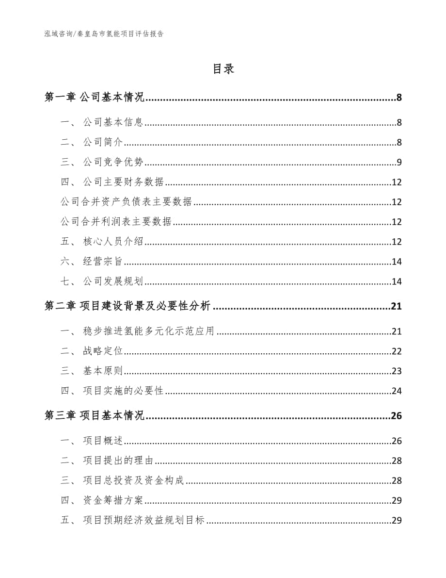 秦皇岛市氢能项目评估报告参考模板_第1页