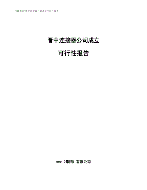 晋中连接器公司成立可行性报告【参考模板】