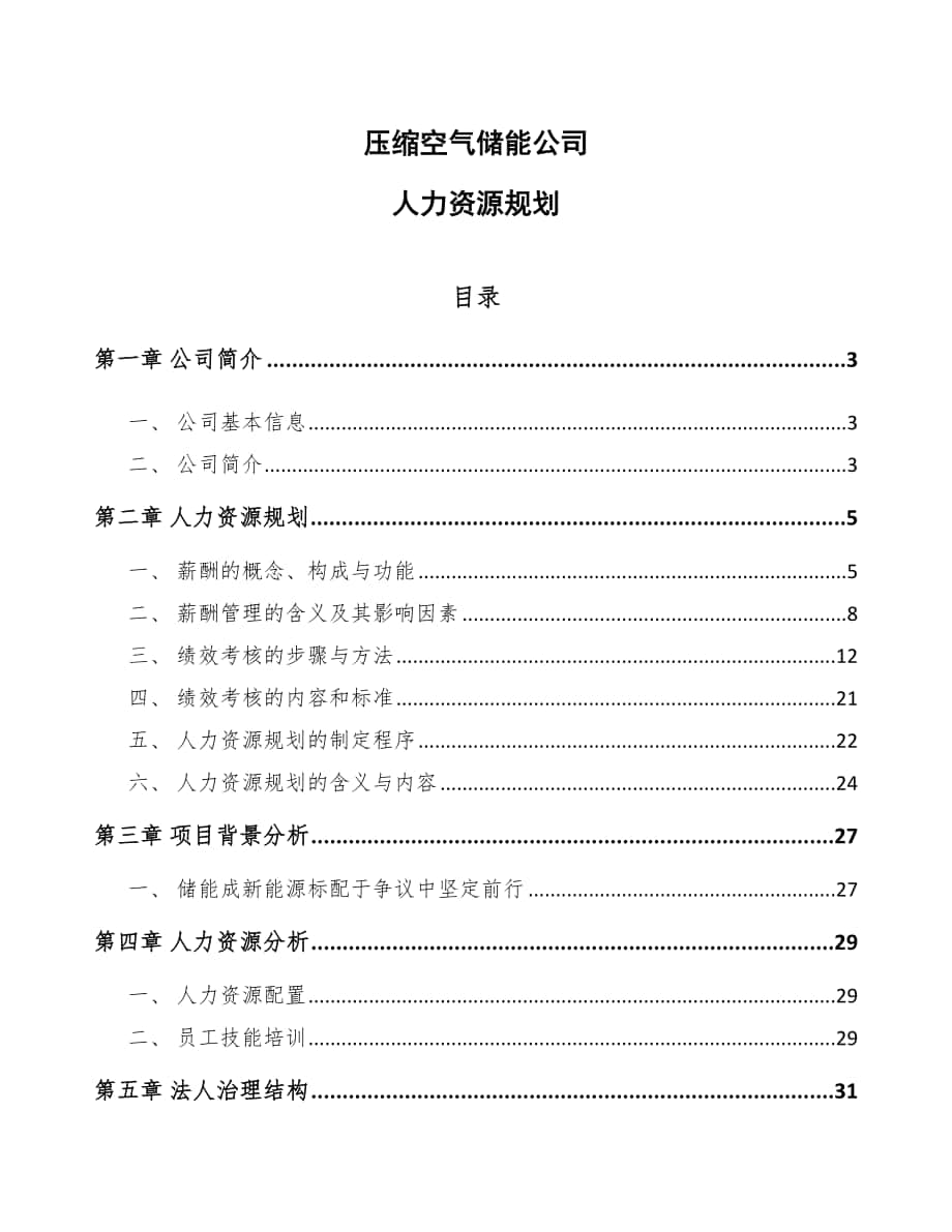 压缩空气储能公司人力资源规划_范文_第1页