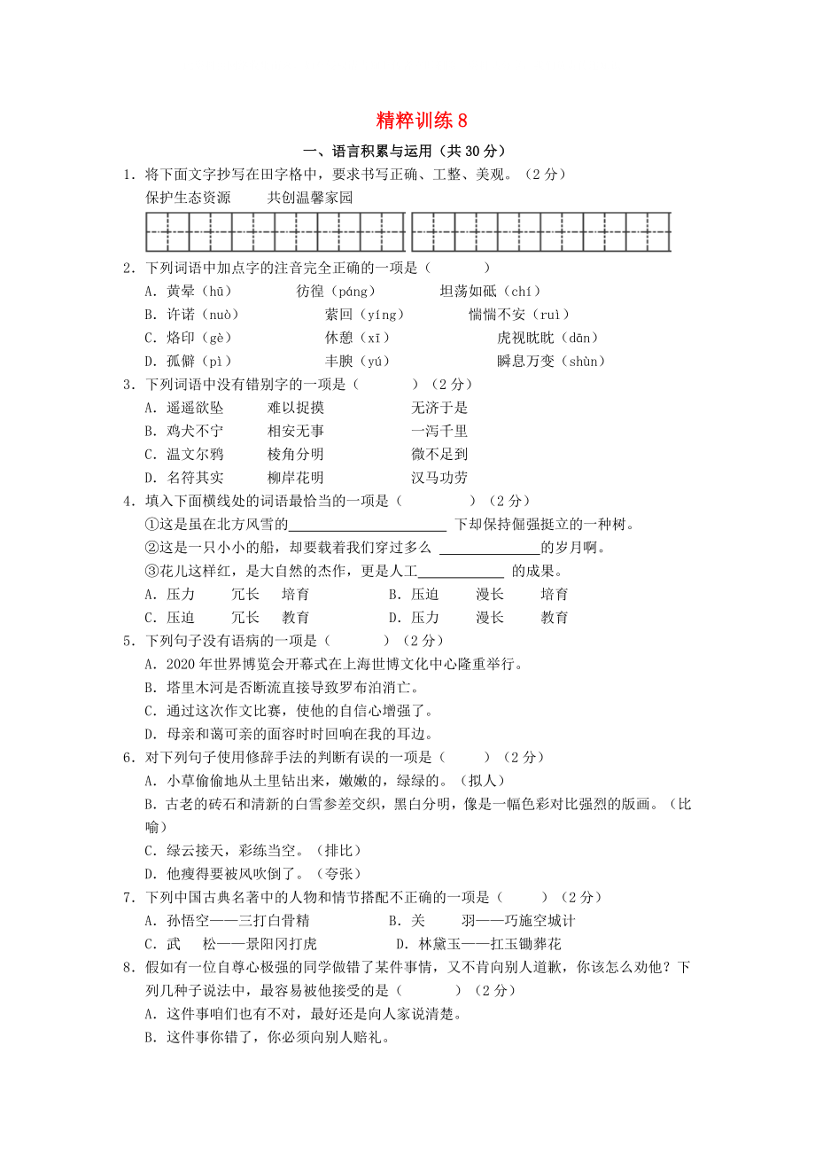 中考语文精粹试题训练8湖南专用_第1页