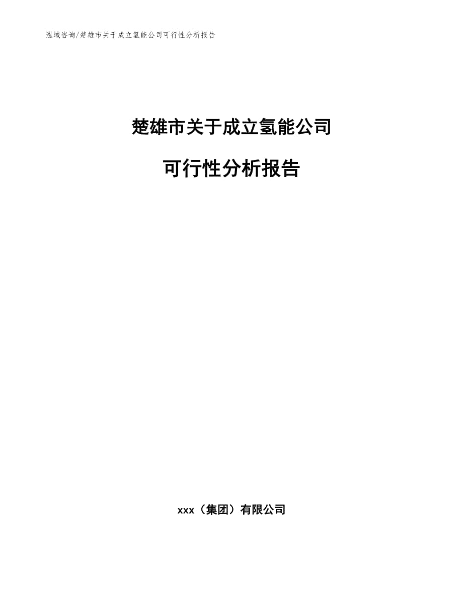 楚雄市关于成立氢能公司可行性分析报告_范文_第1页