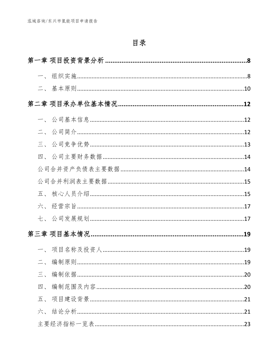东兴市氢能项目申请报告范文_第1页