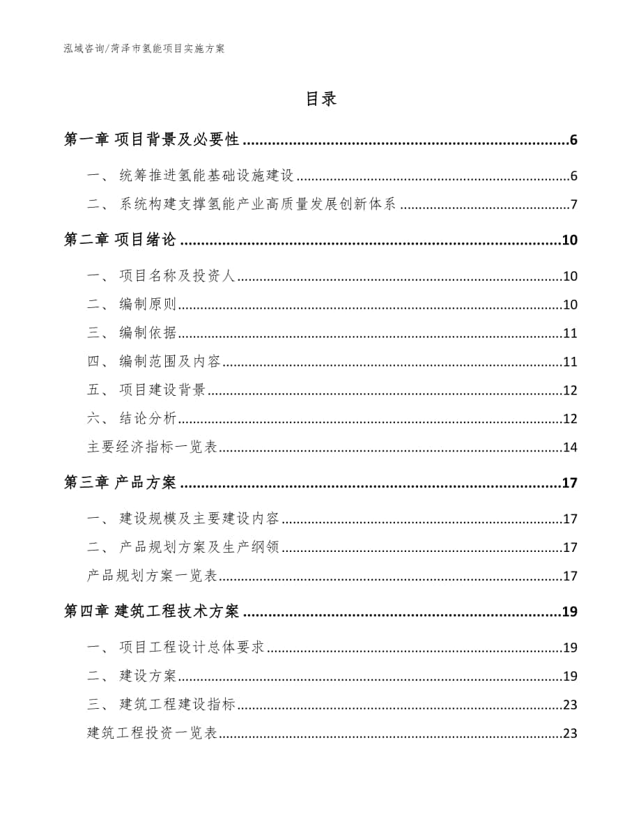 菏泽市氢能项目实施方案_模板_第1页