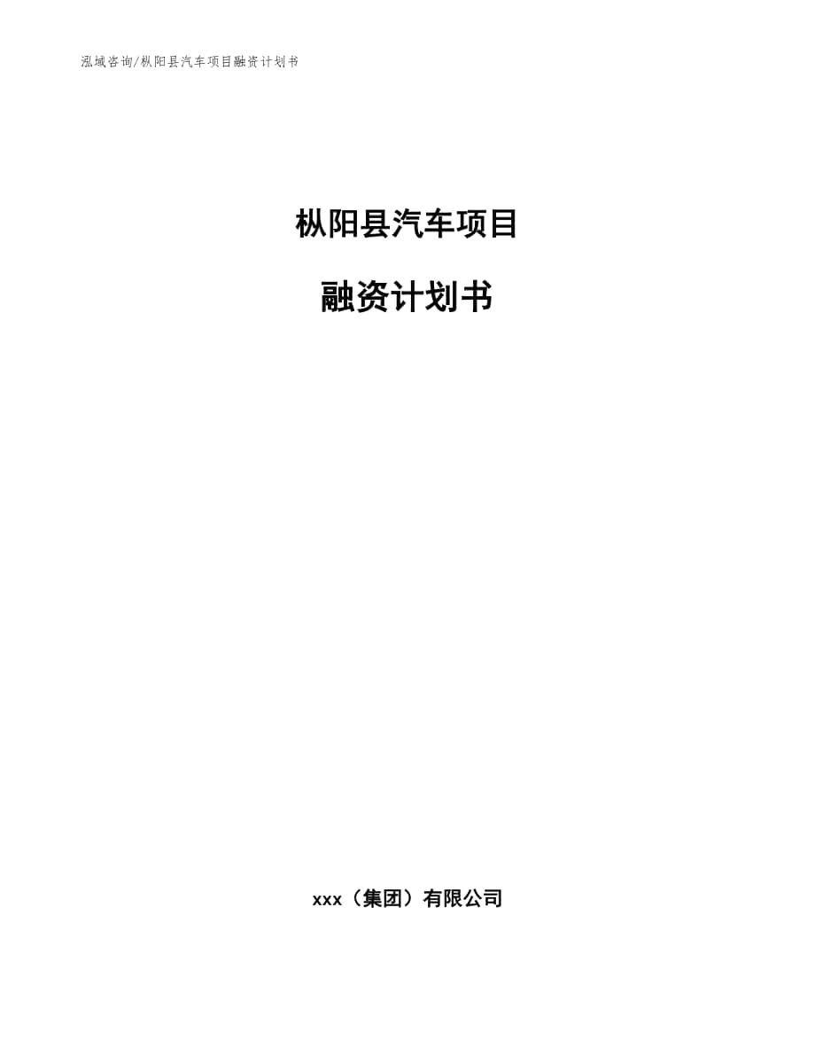 枞阳县汽车项目融资计划书参考范文_第1页