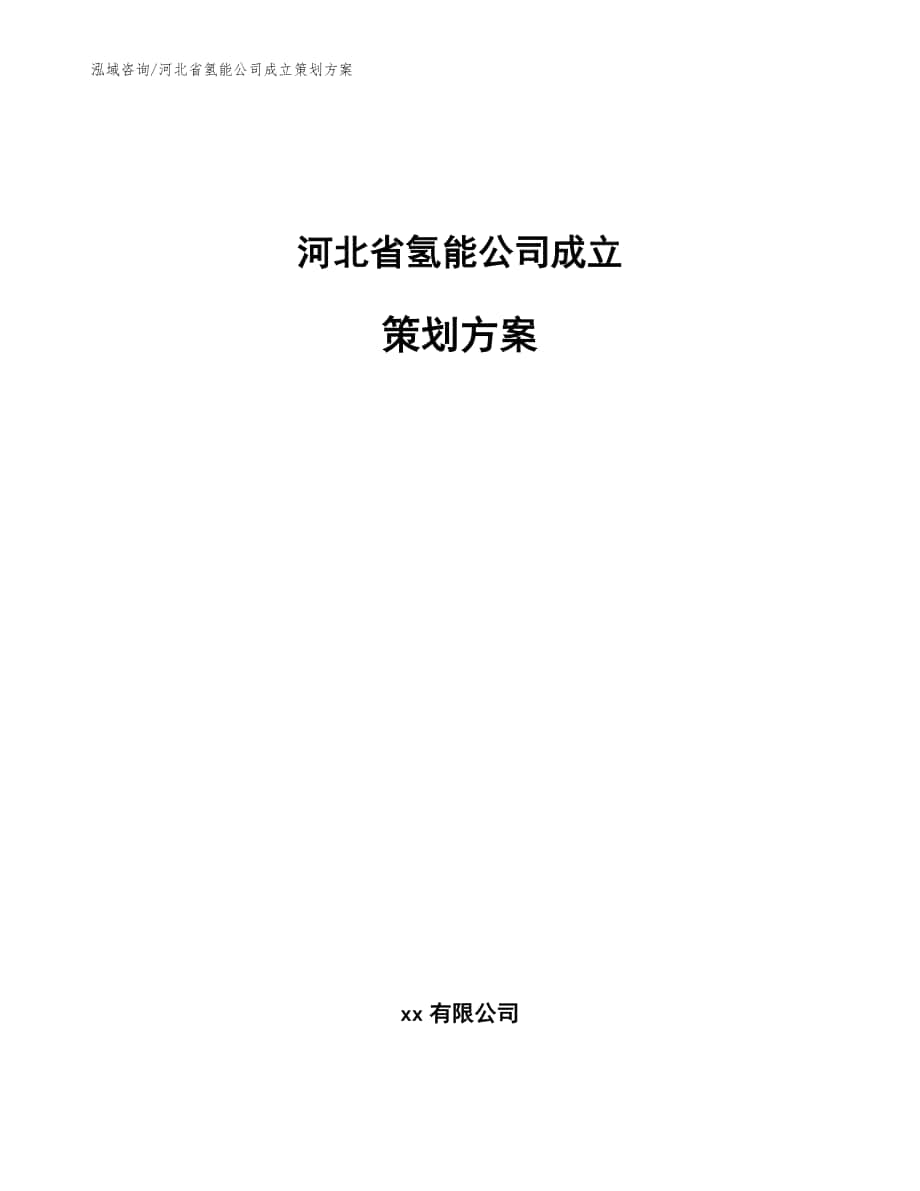 河北省氢能公司成立策划方案模板范本_第1页