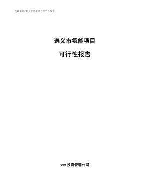 遵义市氢能项目可行性报告【范文参考】