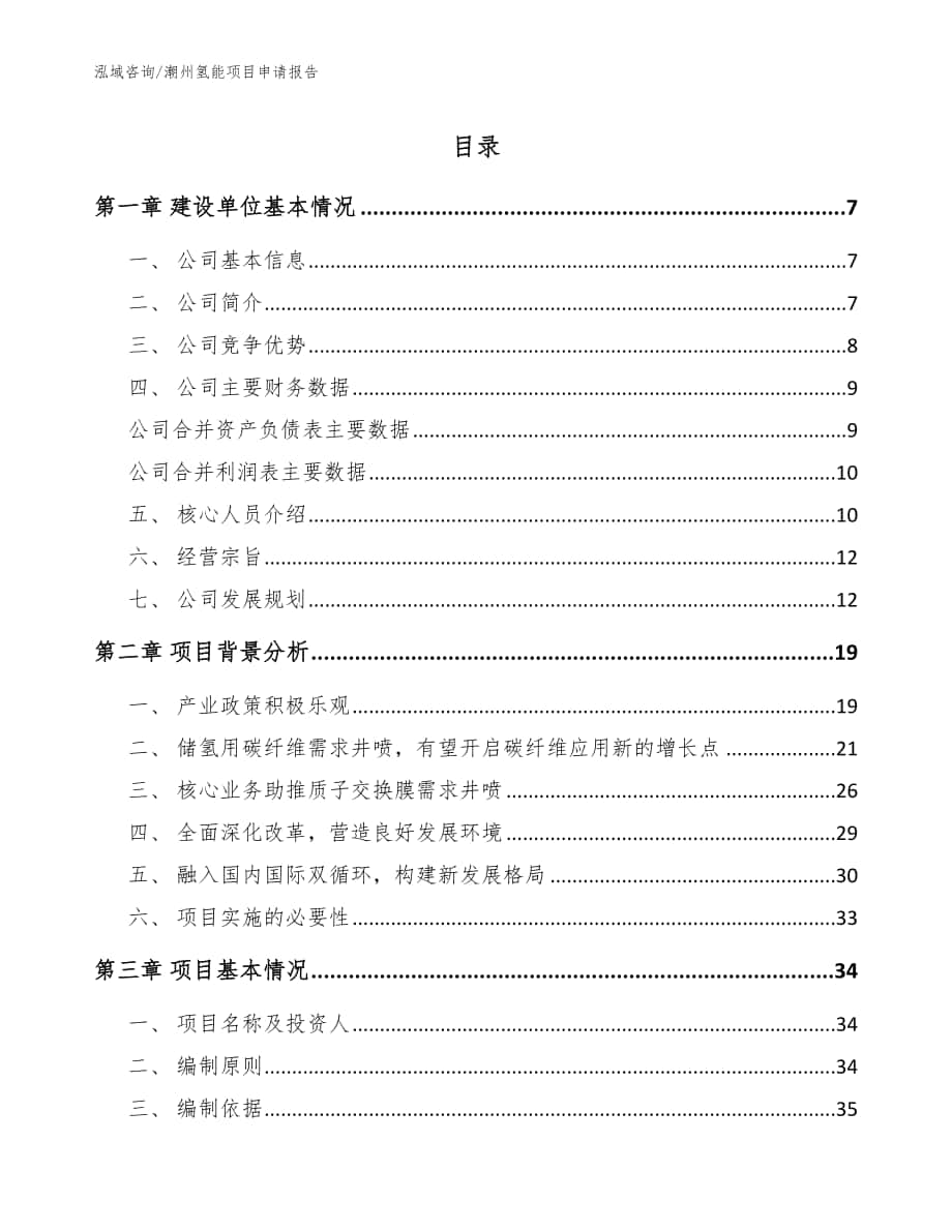 潮州氢能项目申请报告（范文参考）_第1页