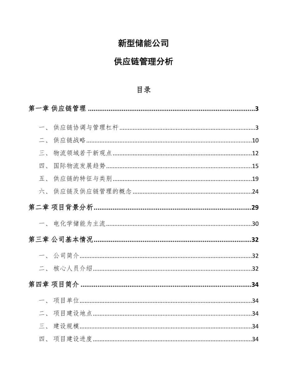 新型储能公司供应链管理分析（参考）_第1页