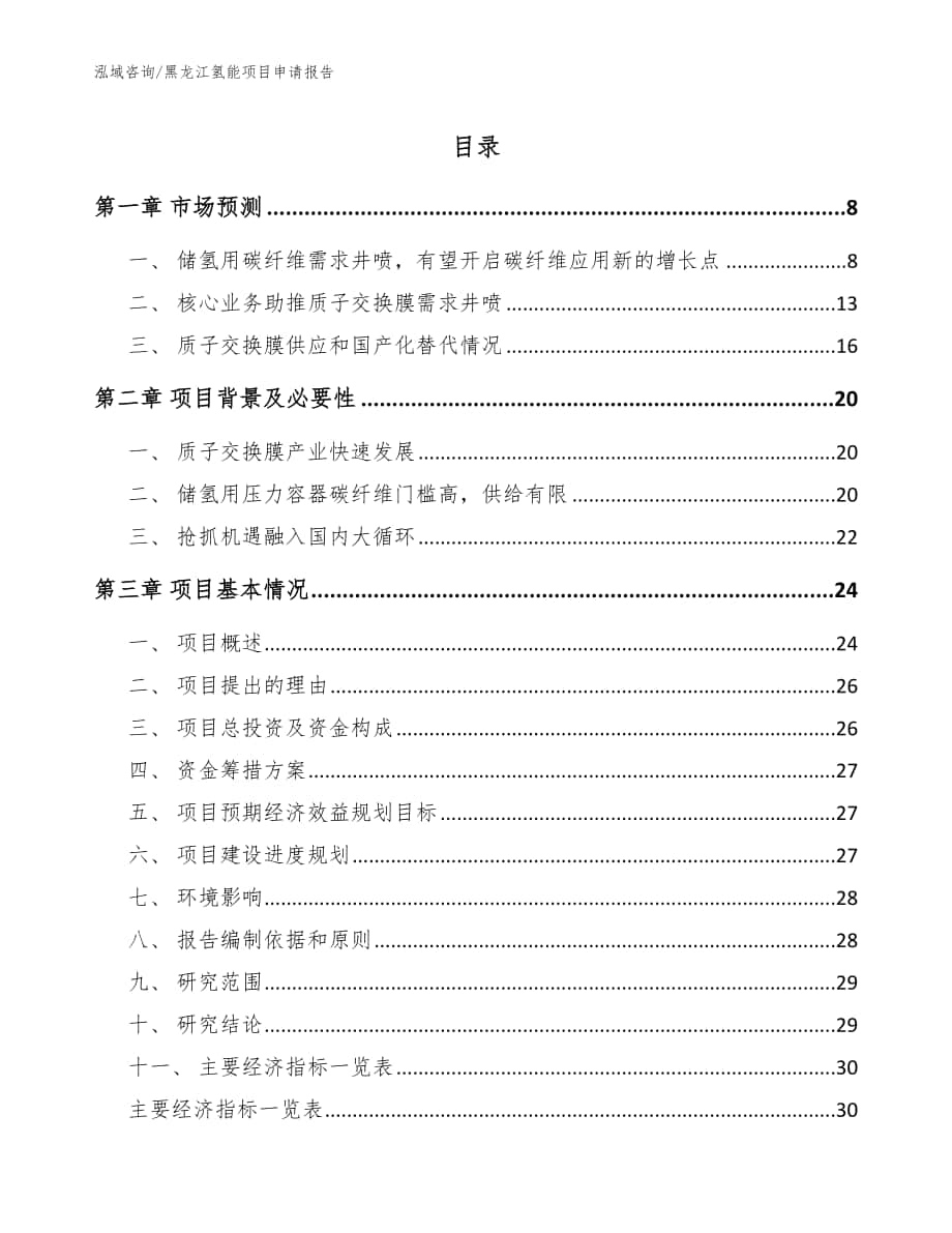 黑龙江氢能项目申请报告【范文参考】_第1页