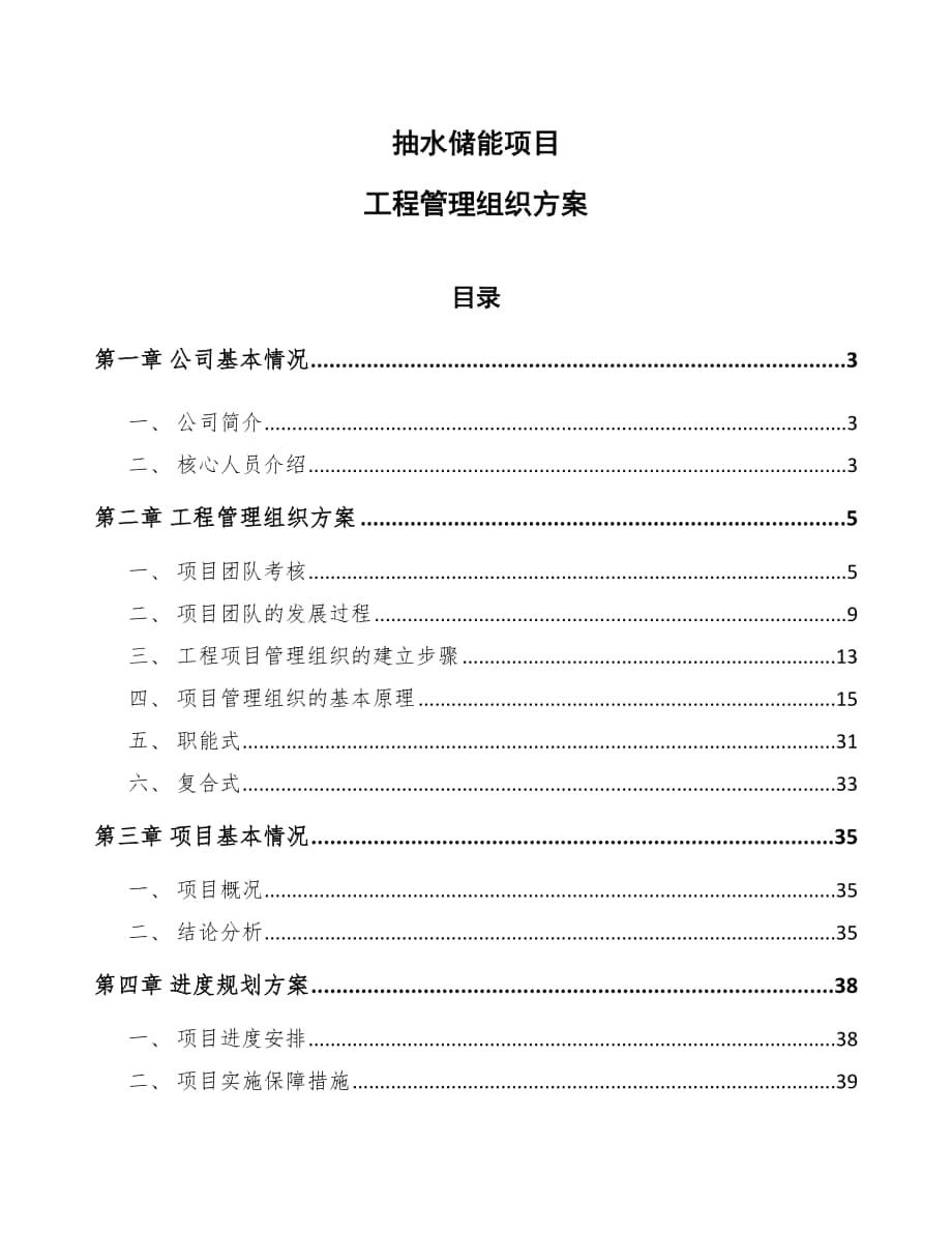 抽水储能项目工程管理组织方案_第1页