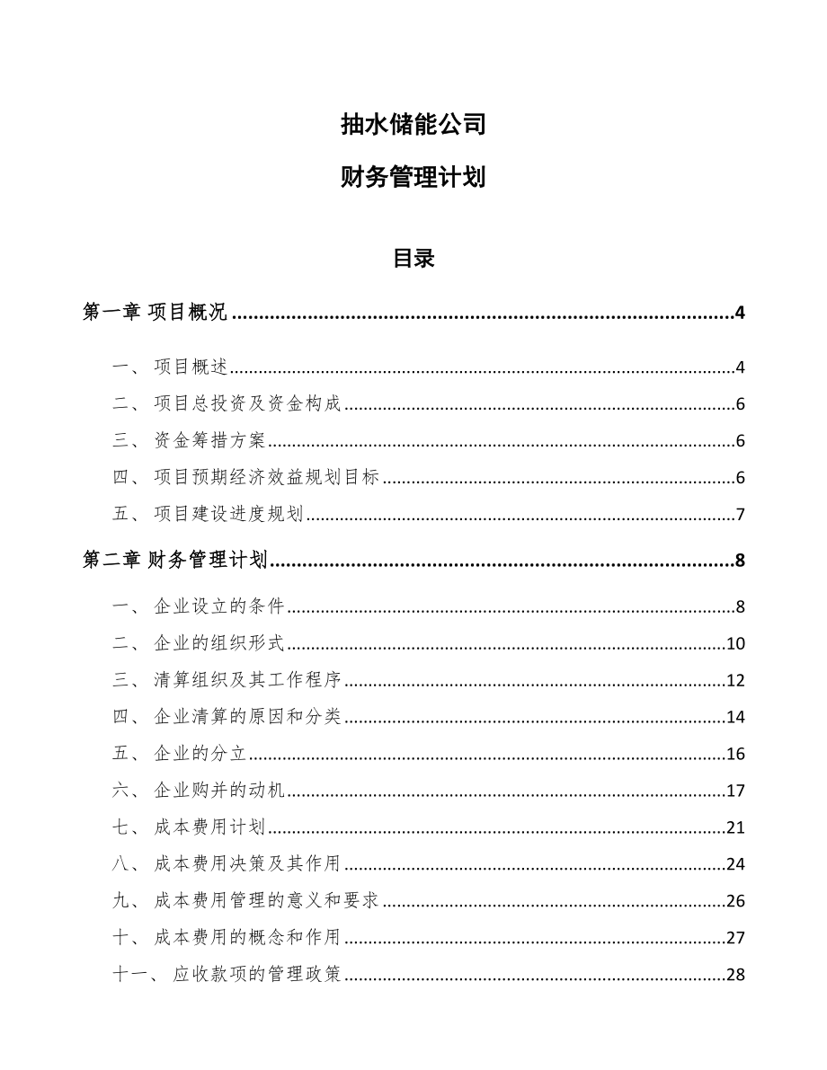 抽水储能公司财务管理计划_参考_第1页